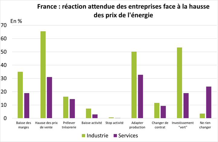 france : réaction attendue des entreprises face à la hausse des prix de l'énergie